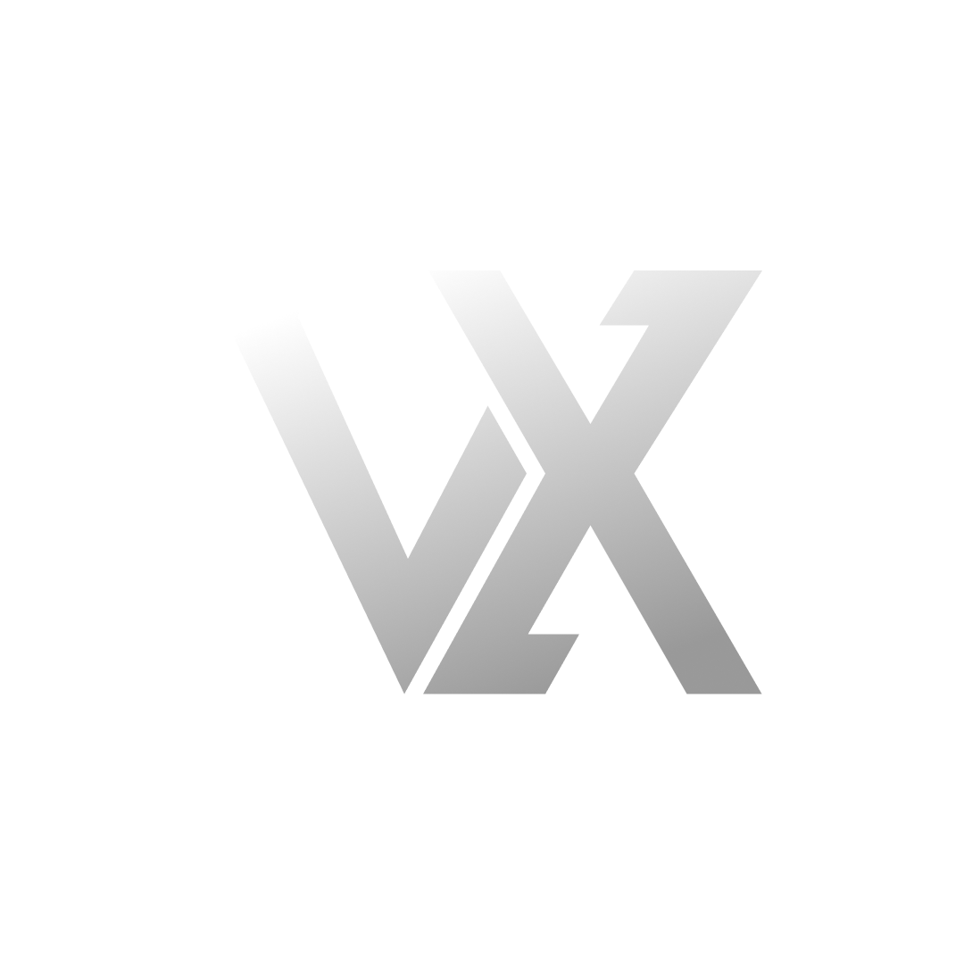VisionX Interactive logo